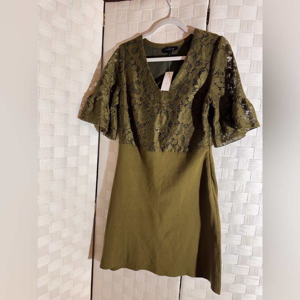 Ann Taylor Olive Lace Dress